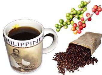 Picture of Coffee Beans and a Cup of Black Coffee called Barako Coffee in the Philippines