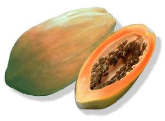 Papaya Fruit Picture